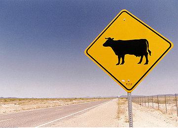 《Deadlock》暂停被滥用 更新后每人每局限一次